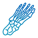 Experiencia y profesionalismo